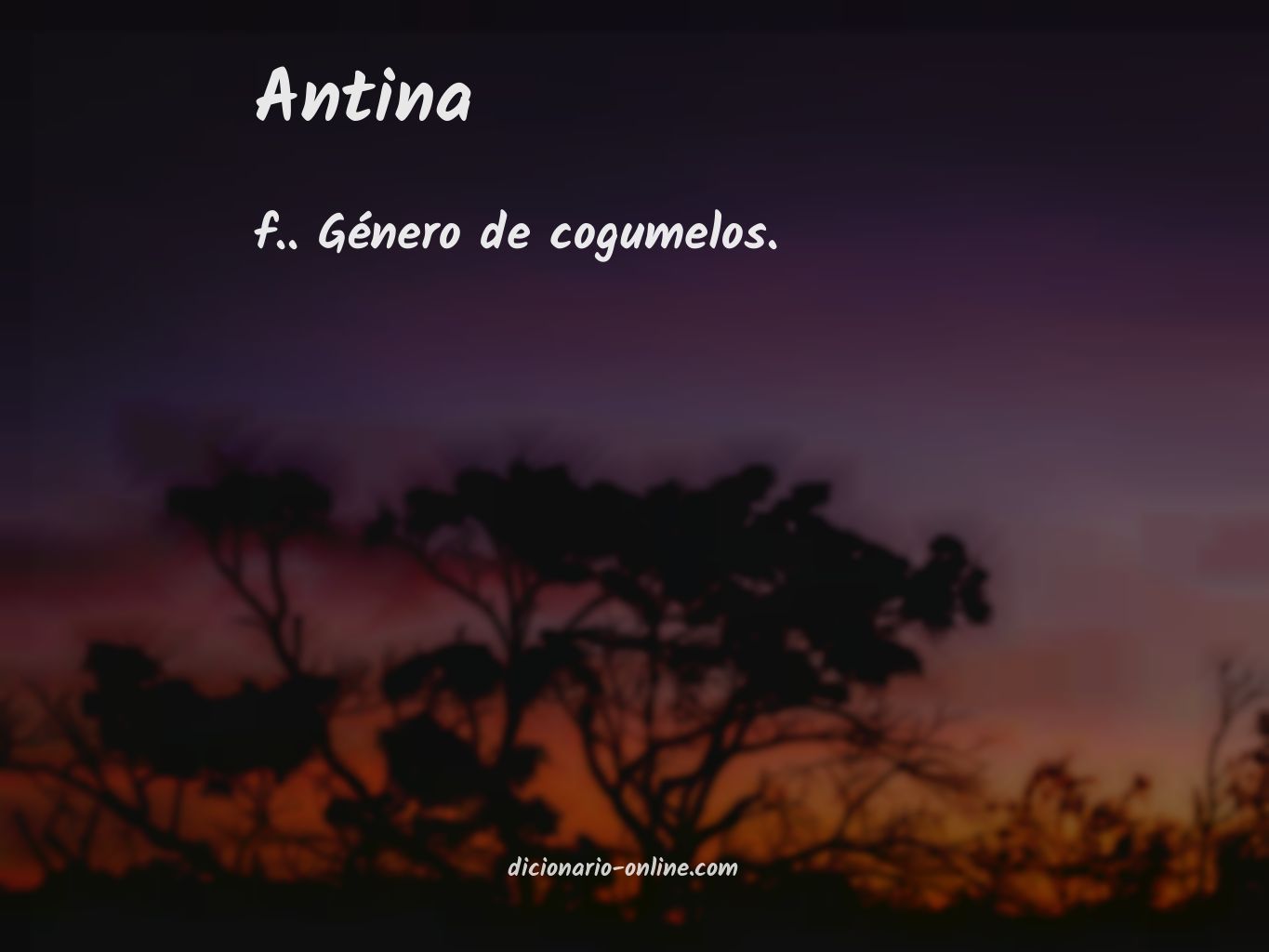 Significado de antina