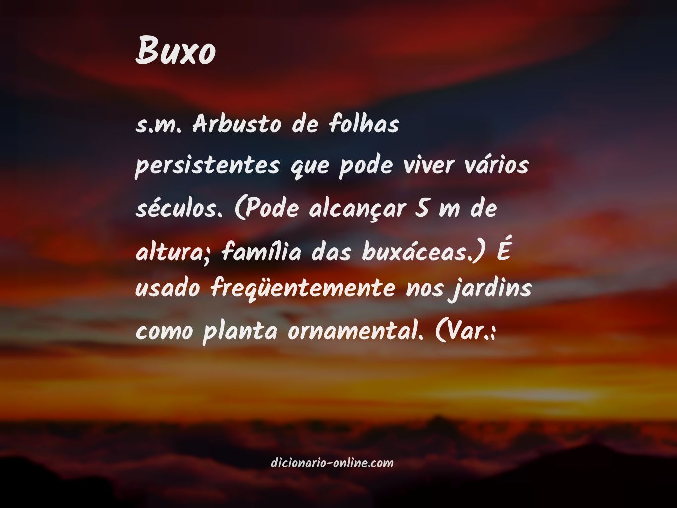 Significado de buxo