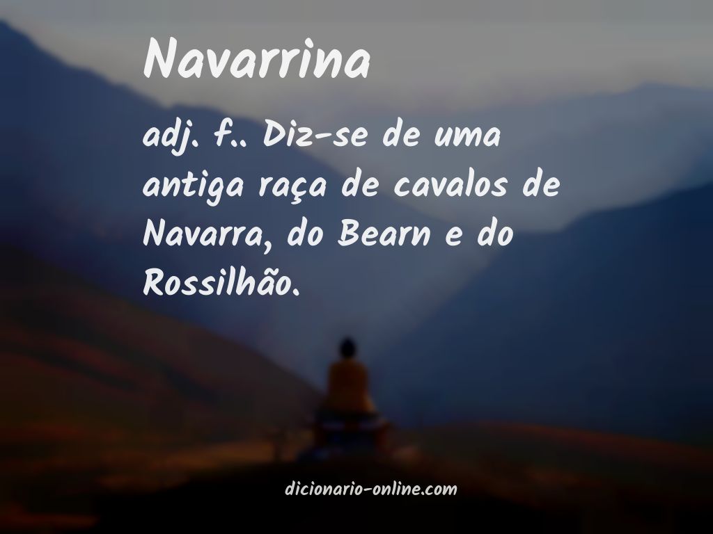 Significado de navarrina