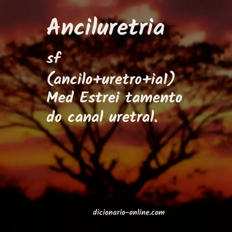 Significado de anciluretria