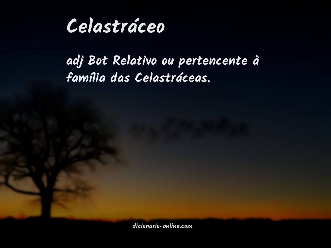 Significado de celastráceo