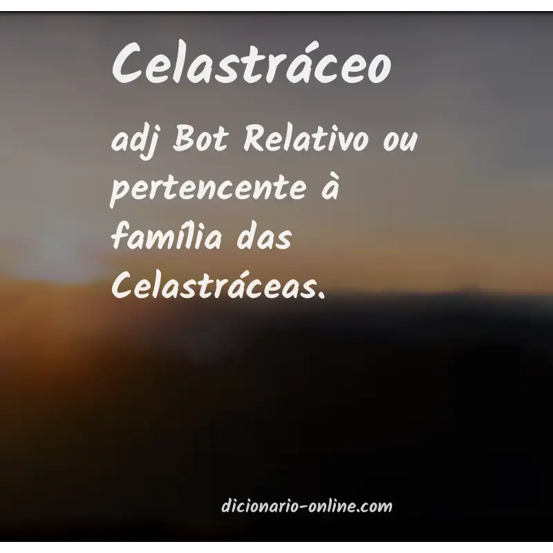 Significado de celastráceo