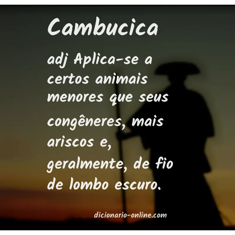 Significado de cambucica