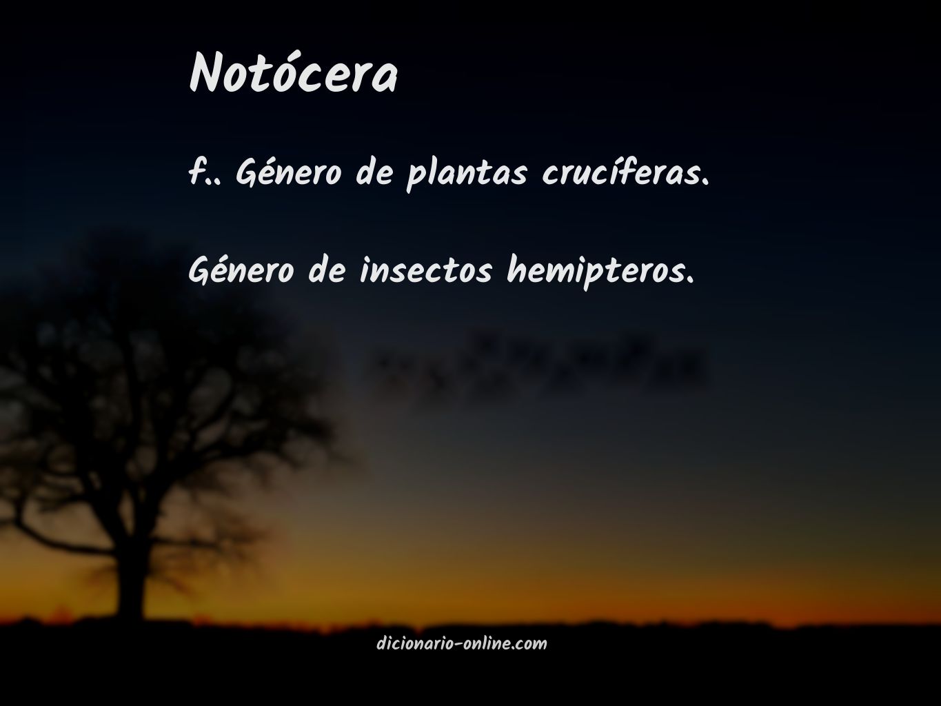 Significado de notócera