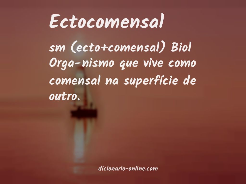 Significado de ectocomensal