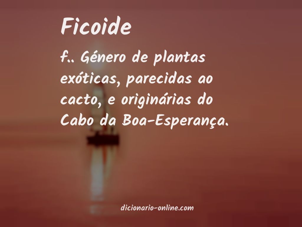 Significado de ficoide