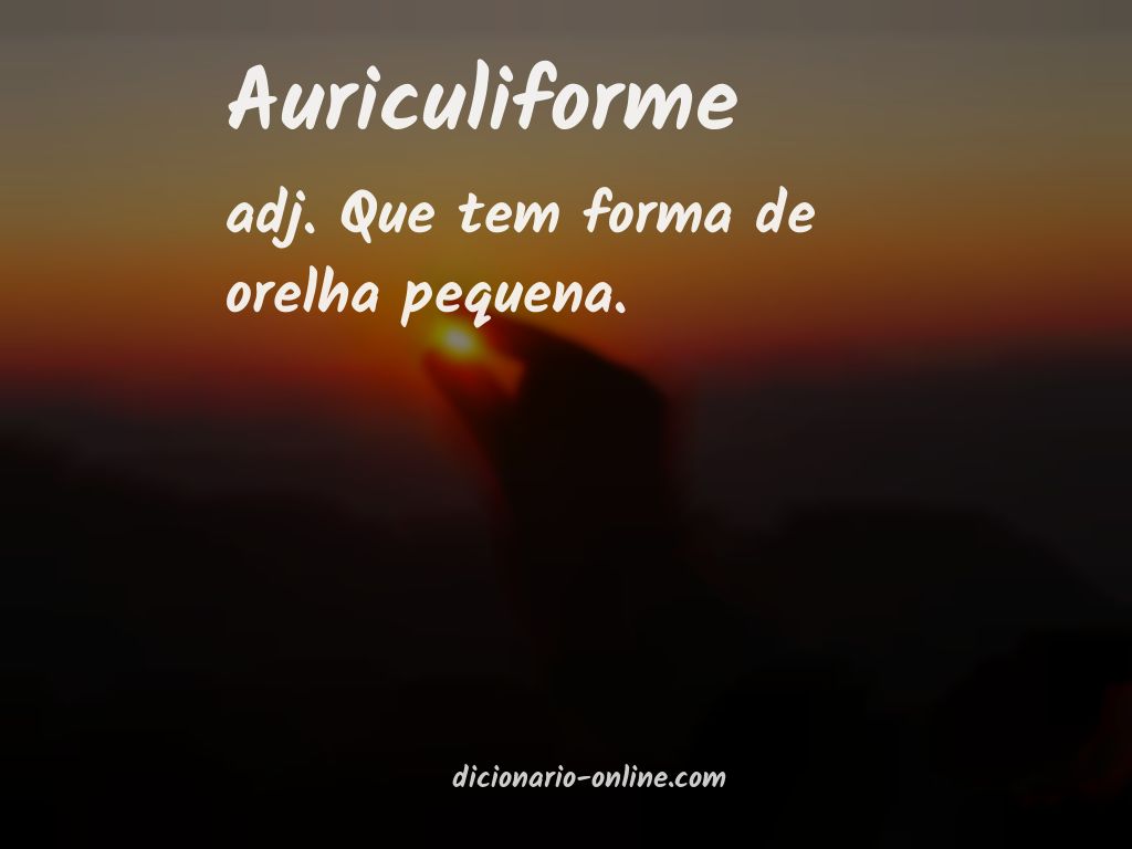 Significado de auriculiforme