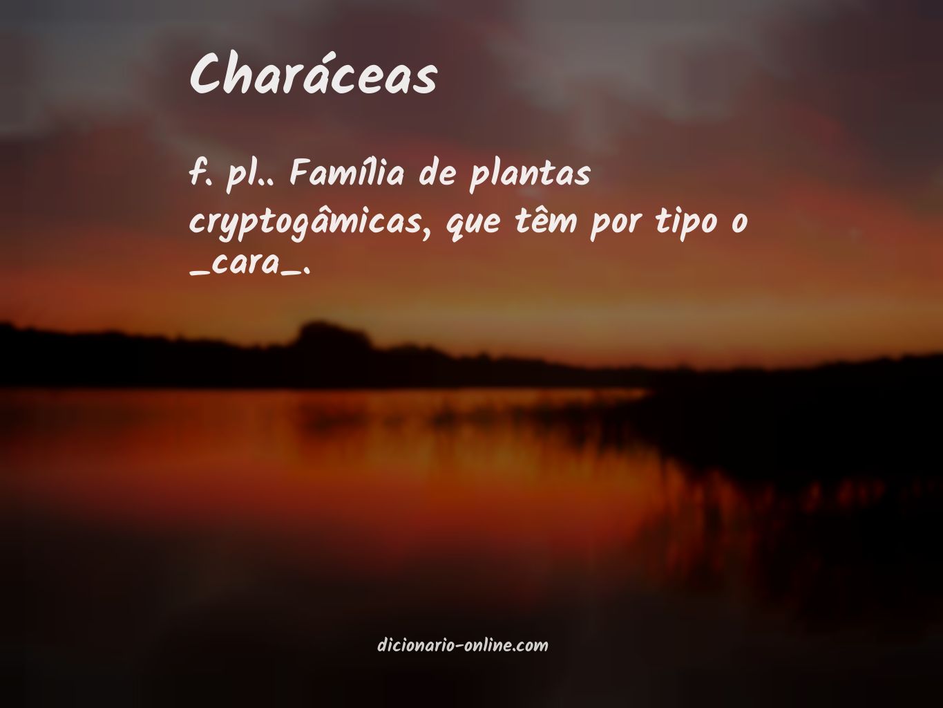 Significado de charáceas