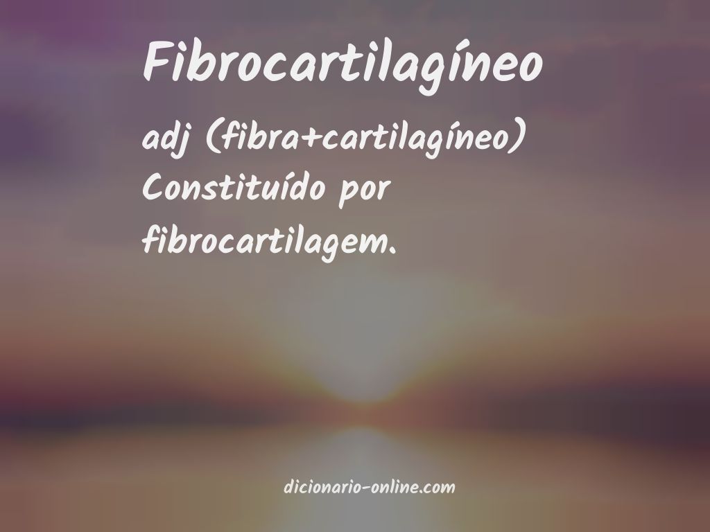Significado de fibrocartilagíneo
