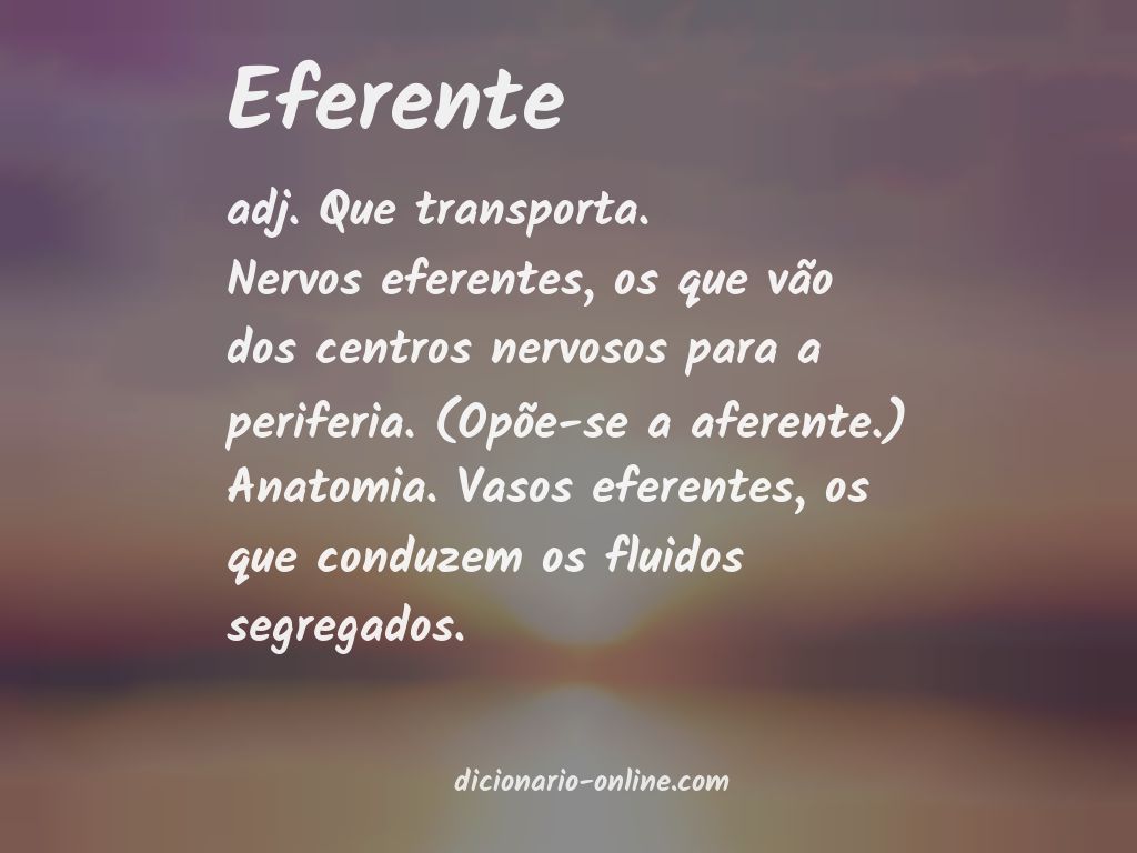 Significado de eferente