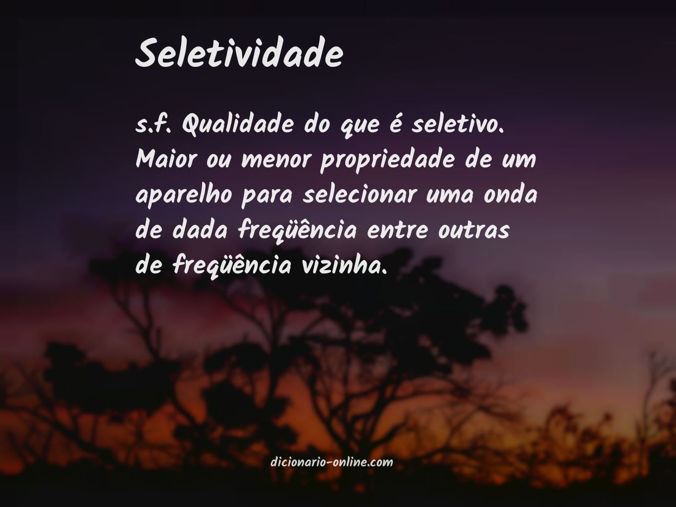 Significado de seletividade