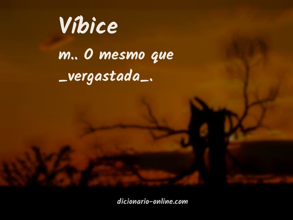 Significado de víbice