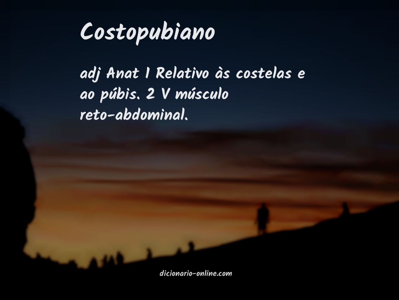 Significado de costopubiano