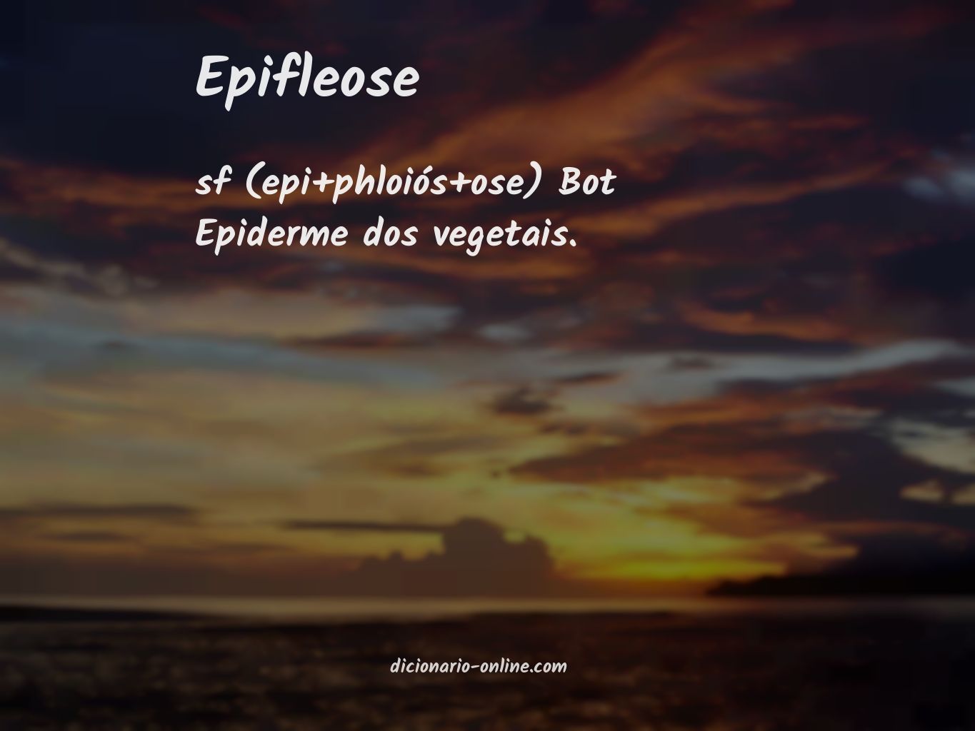 Significado de epifleose
