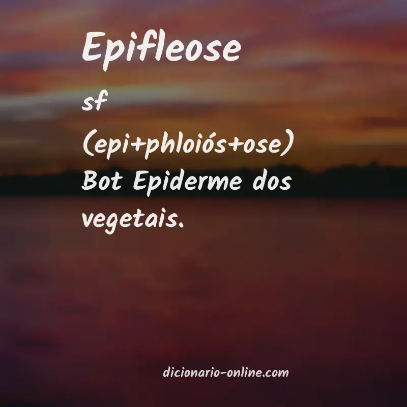 Significado de epifleose