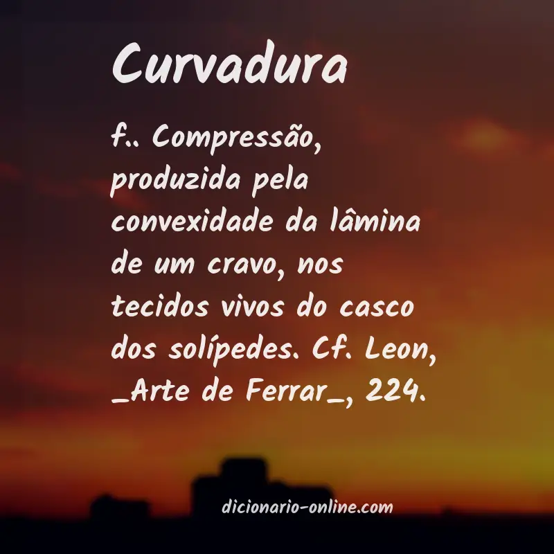 Significado de curvadura