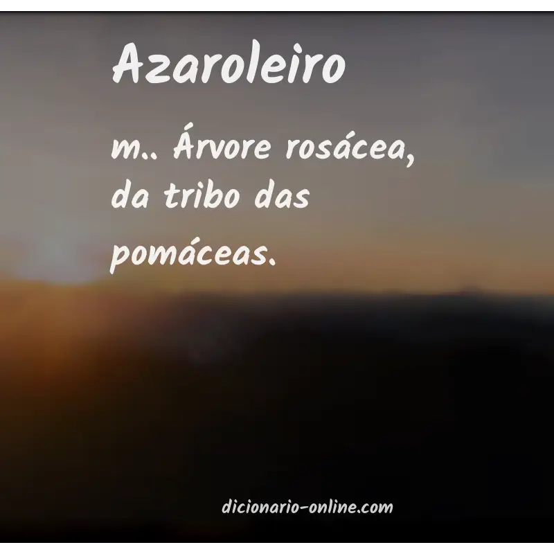 Significado de azaroleiro