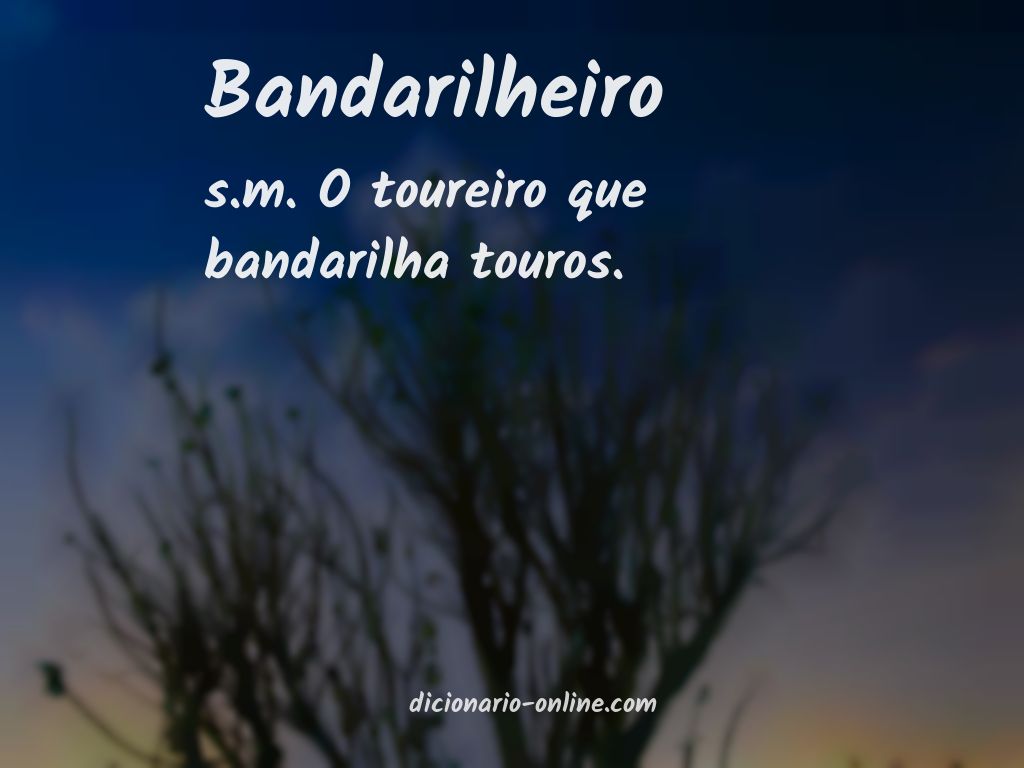 Significado de bandarilheiro