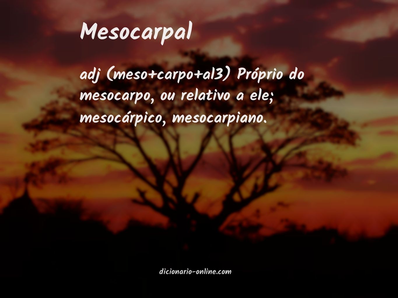 Significado de mesocarpal