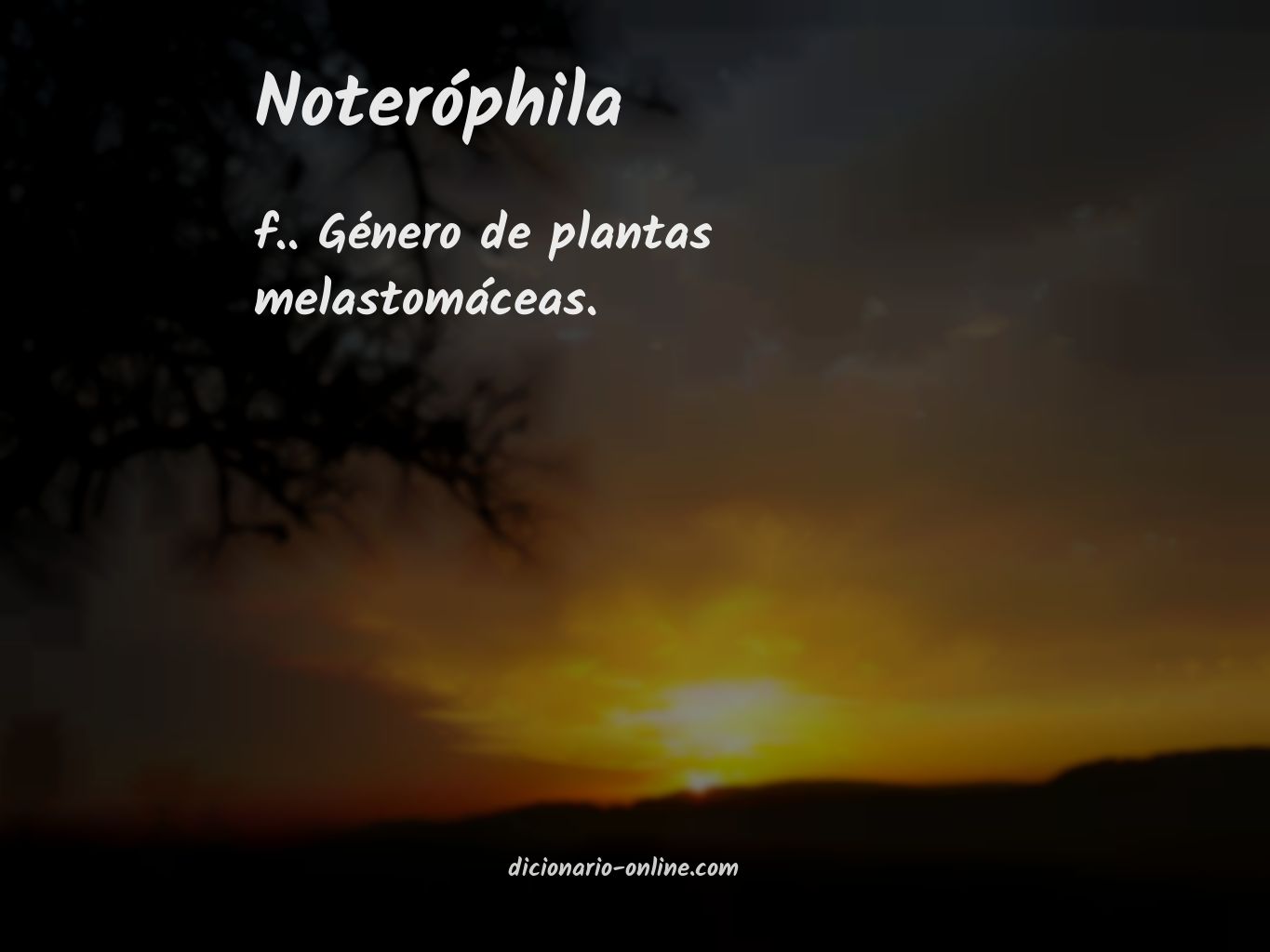 Significado de noteróphila