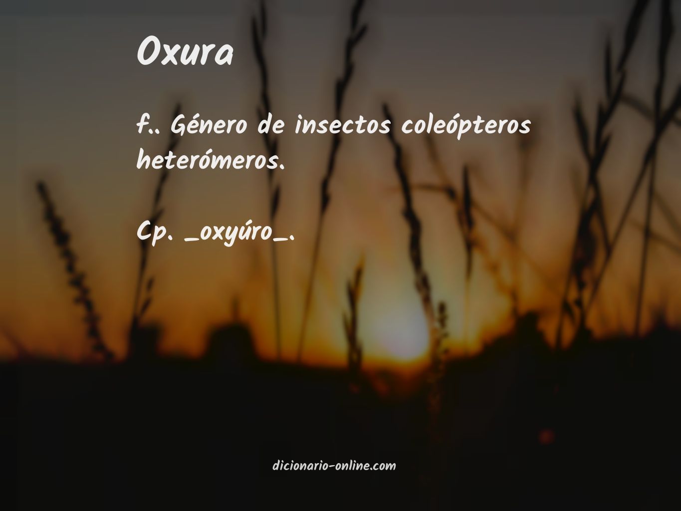 Significado de oxura