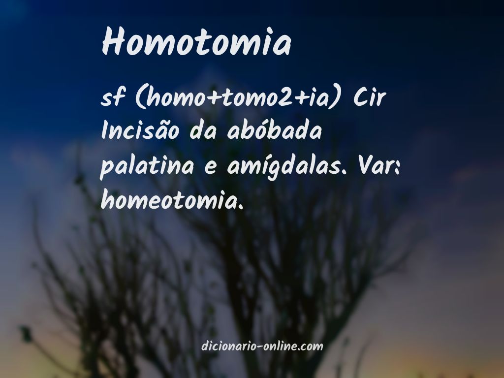 Significado de homotomia