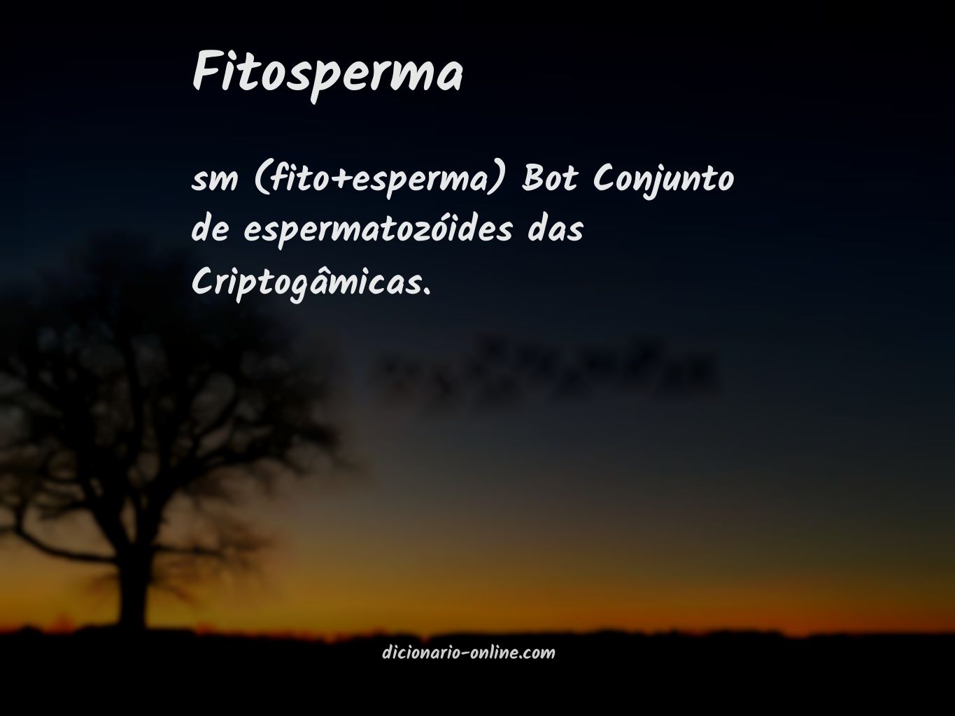 Significado de fitosperma