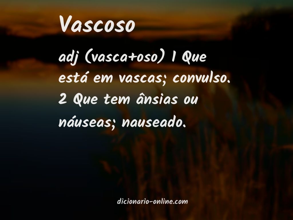 Significado de vascoso