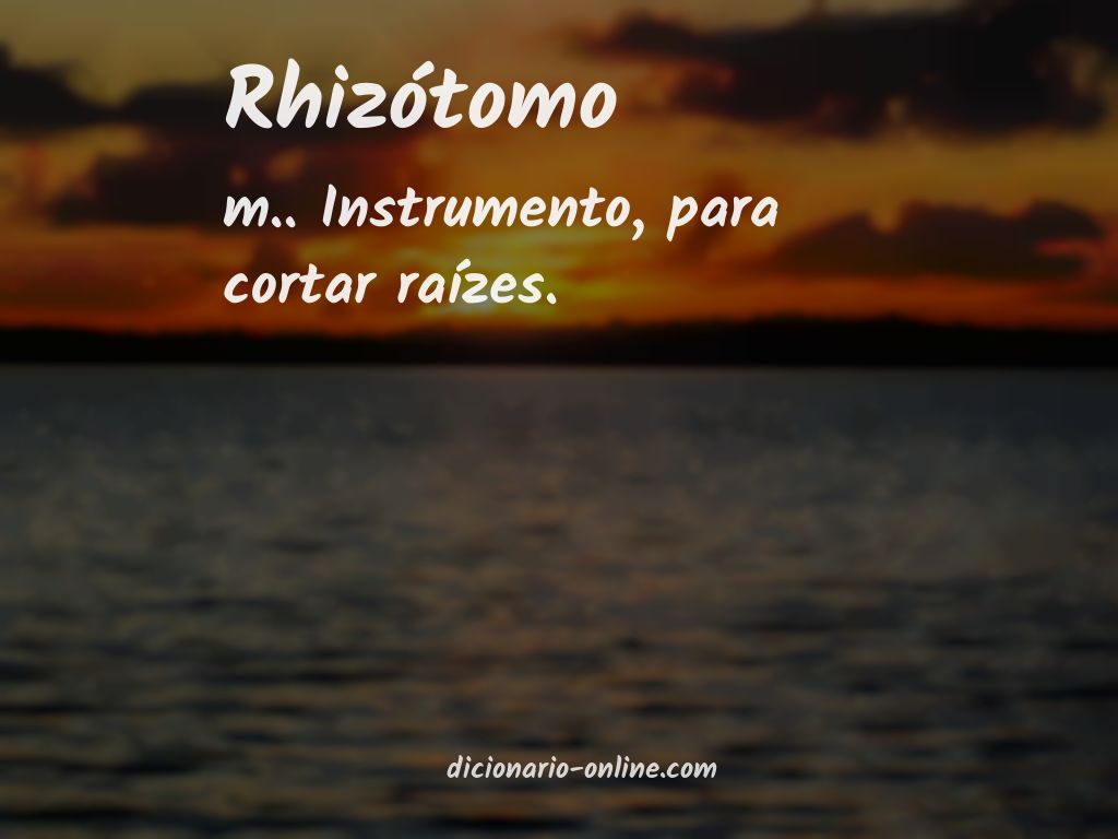 Significado de rhizótomo