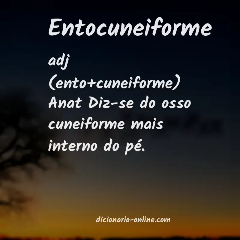 Significado de entocuneiforme