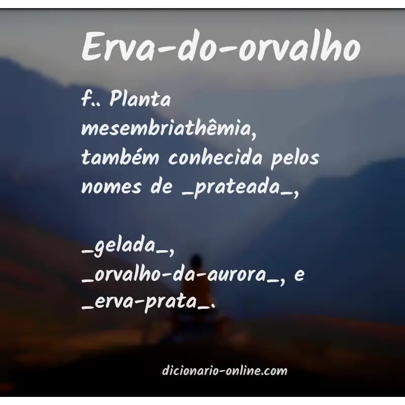 Significado de erva-do-orvalho