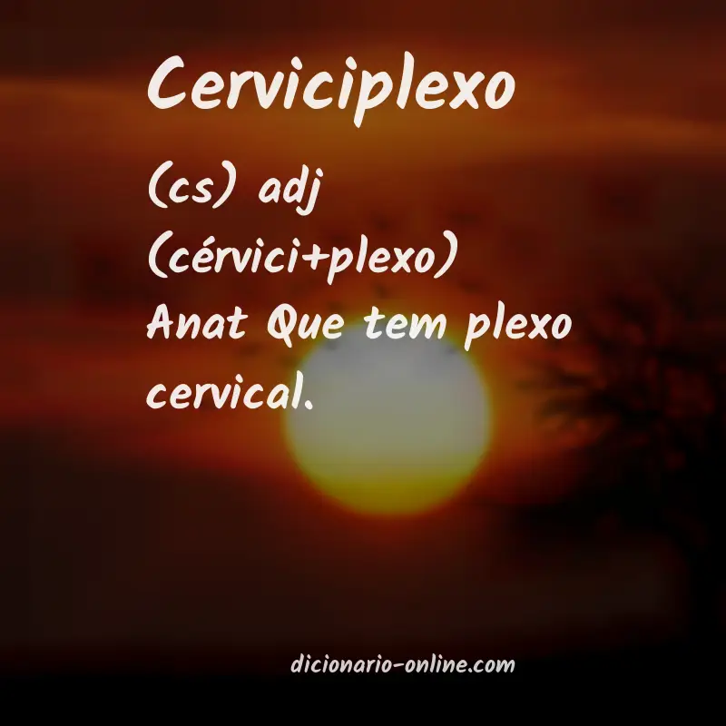 Significado de cerviciplexo