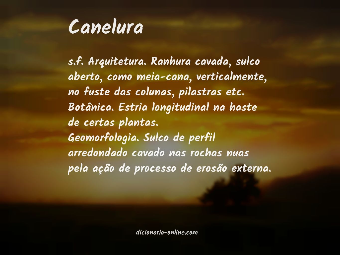 Significado de canelura