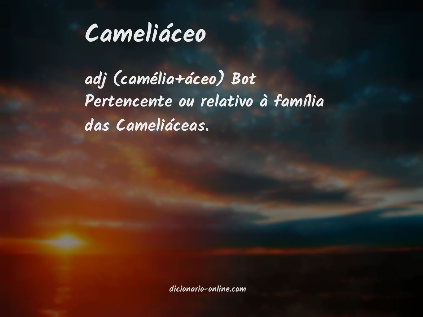 Significado de cameliáceo