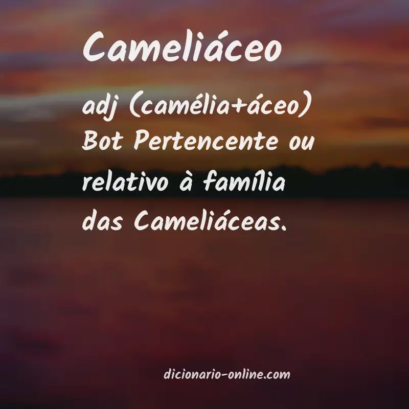 Significado de cameliáceo