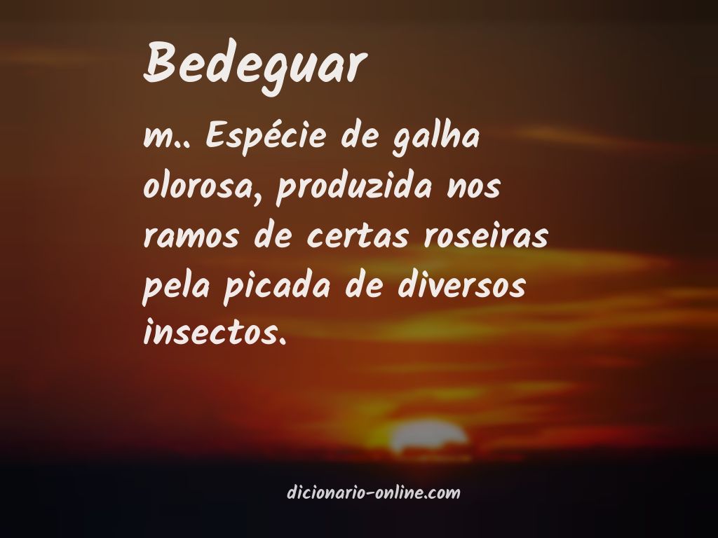 Significado de bedeguar