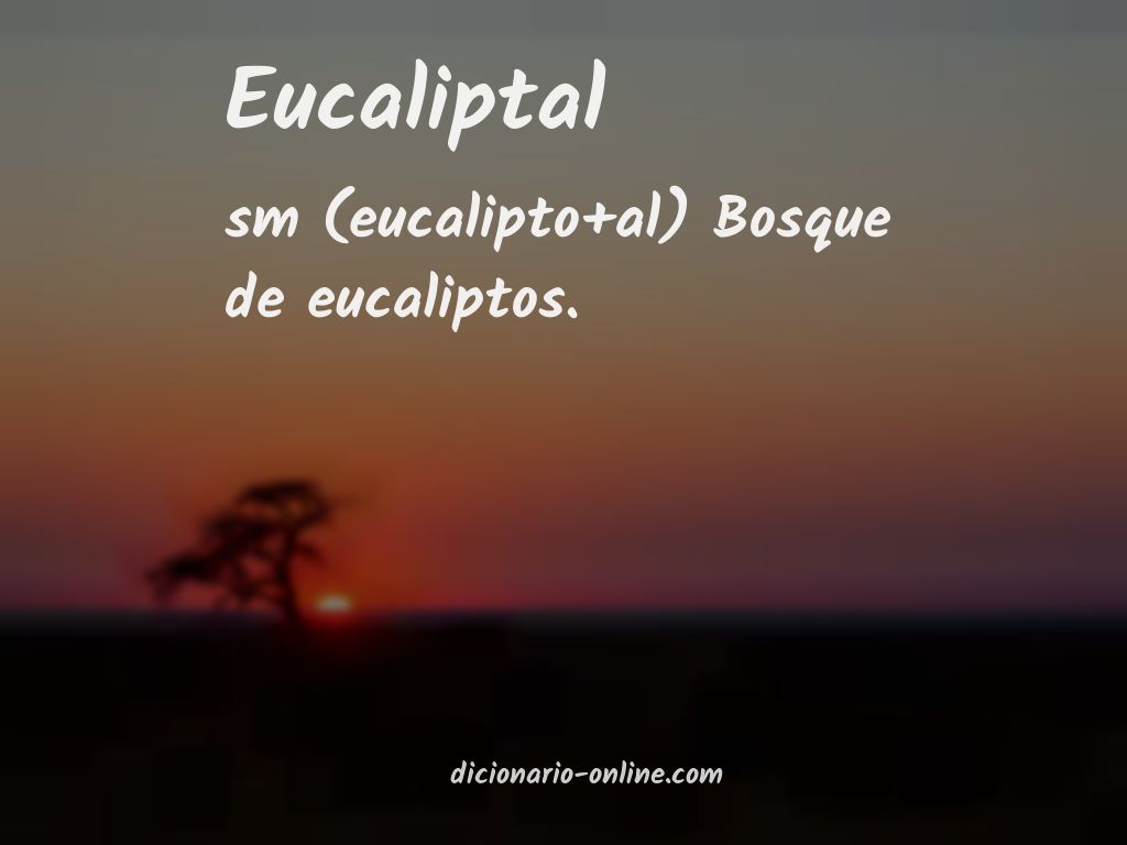 Significado de eucaliptal