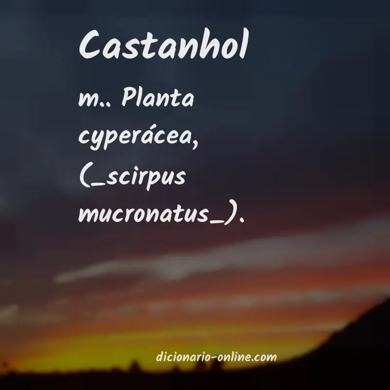 Significado de castanhol