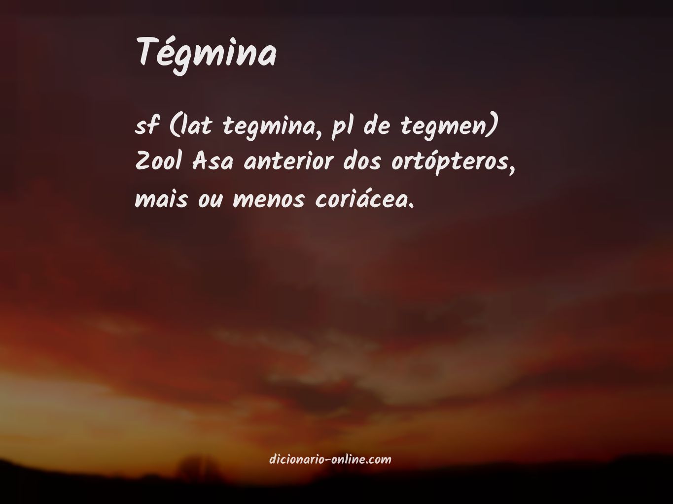 Significado de tégmina