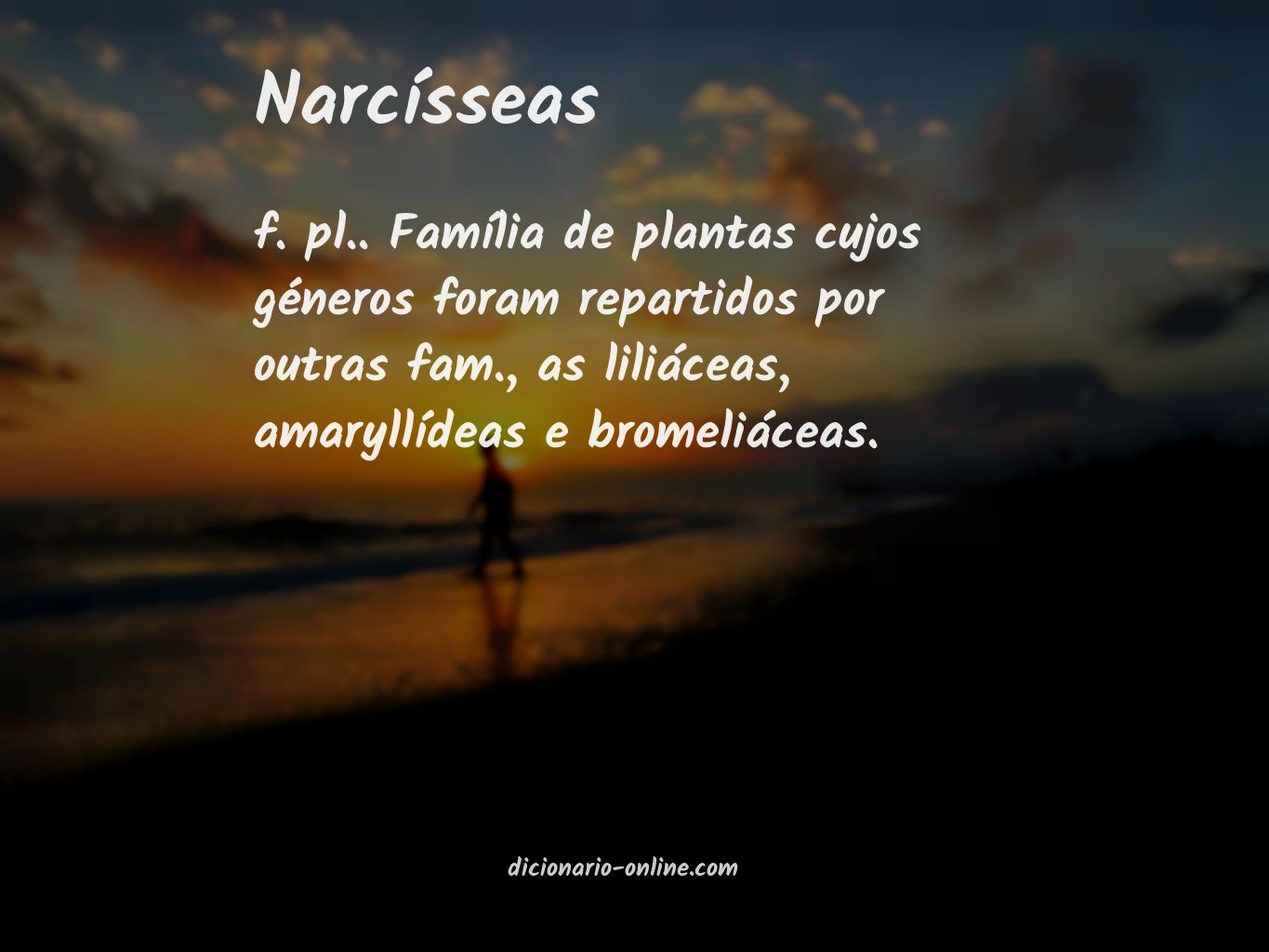 Significado de narcísseas