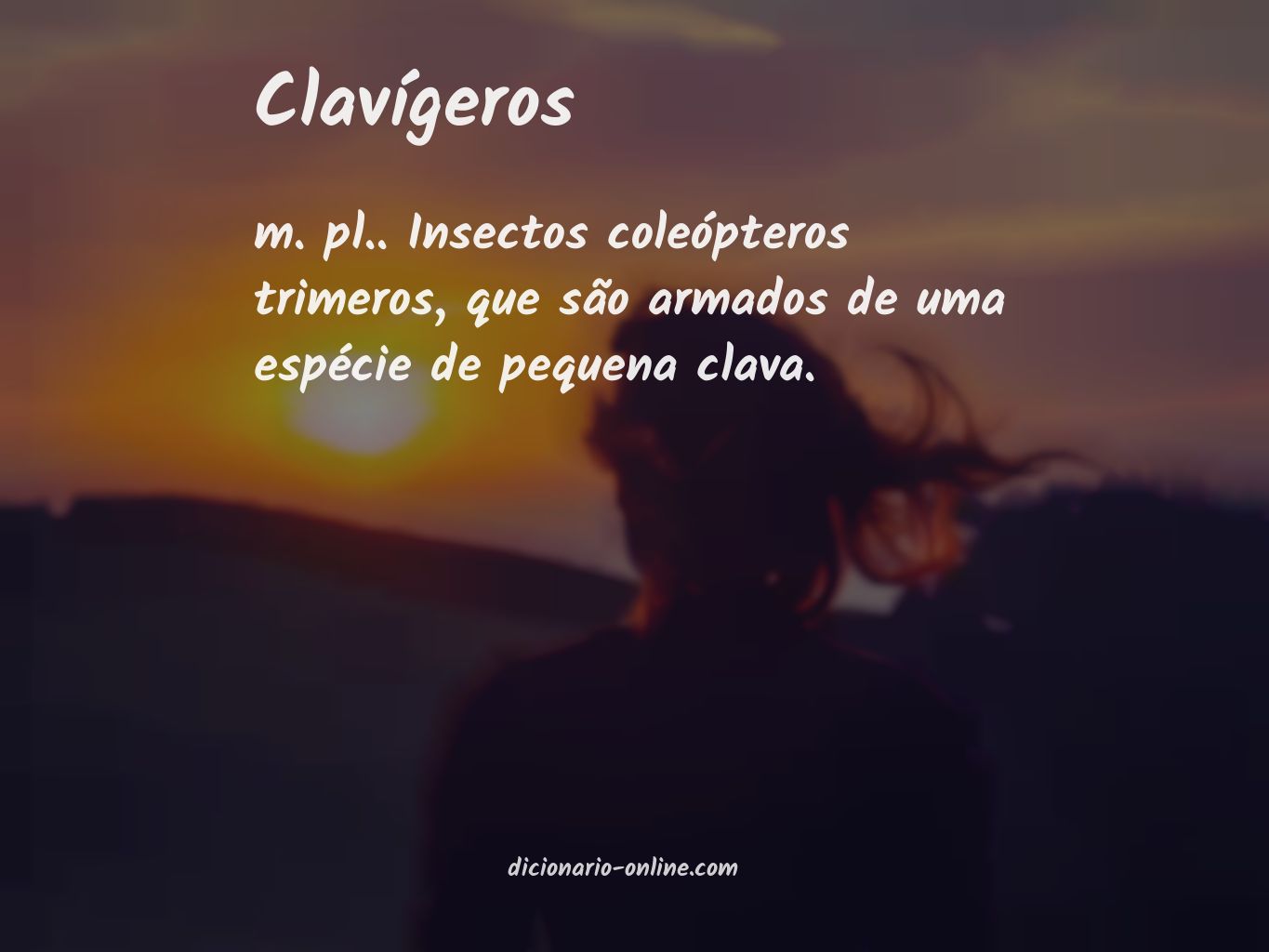 Significado de clavígeros