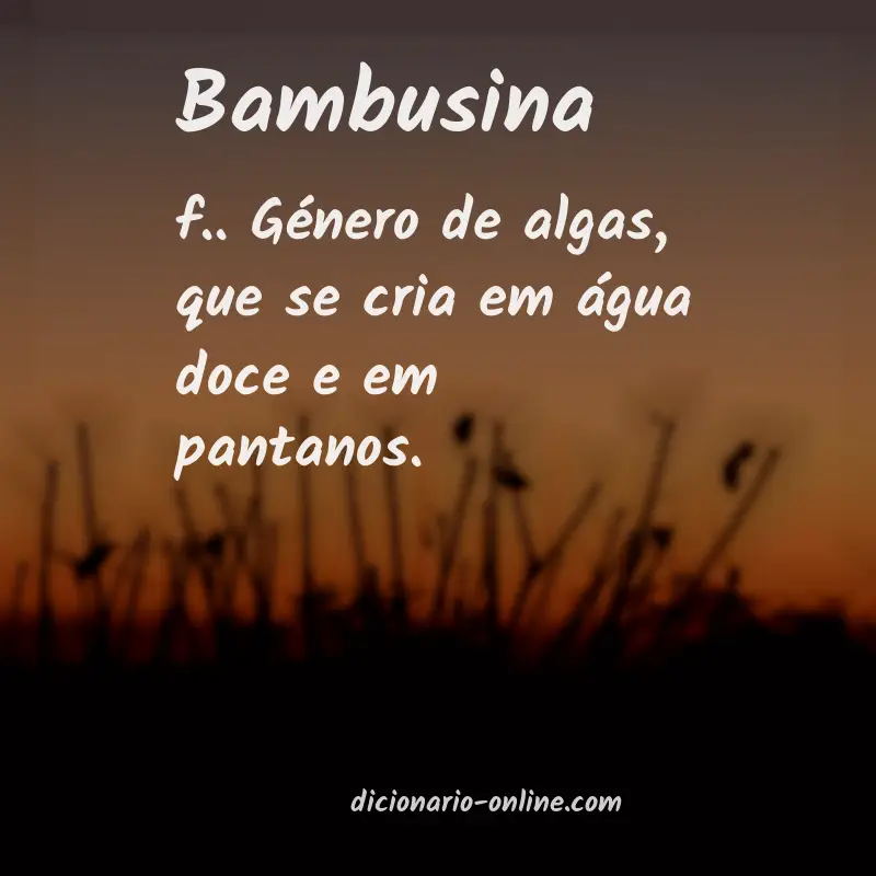 Significado de bambusina