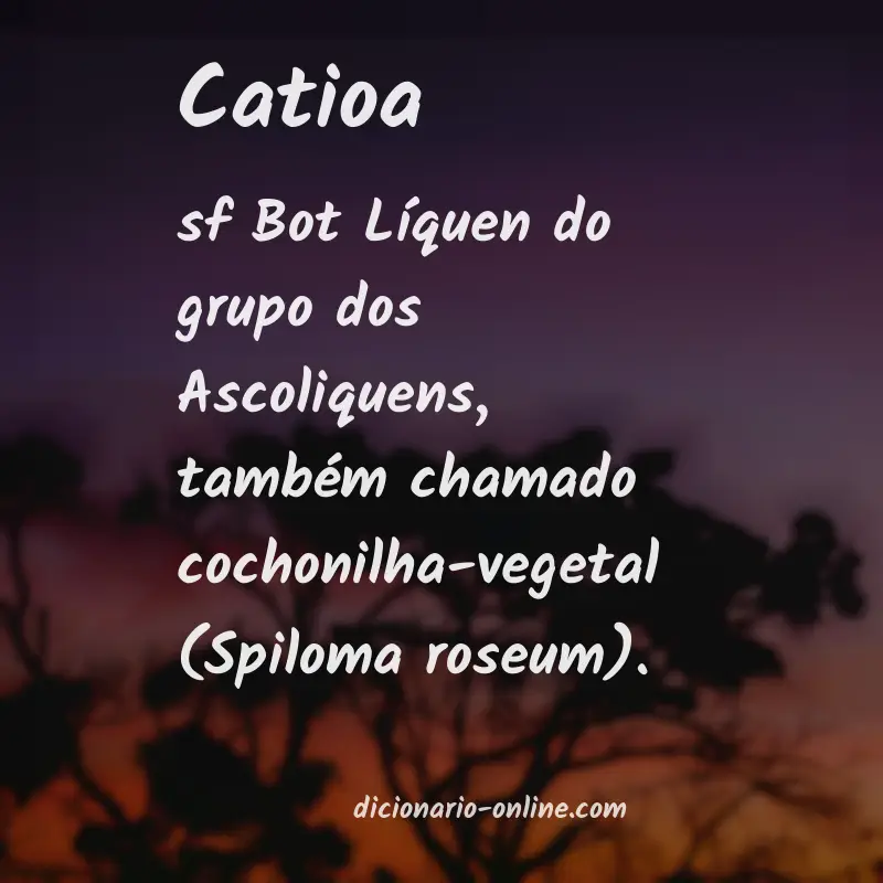 Significado de catioa