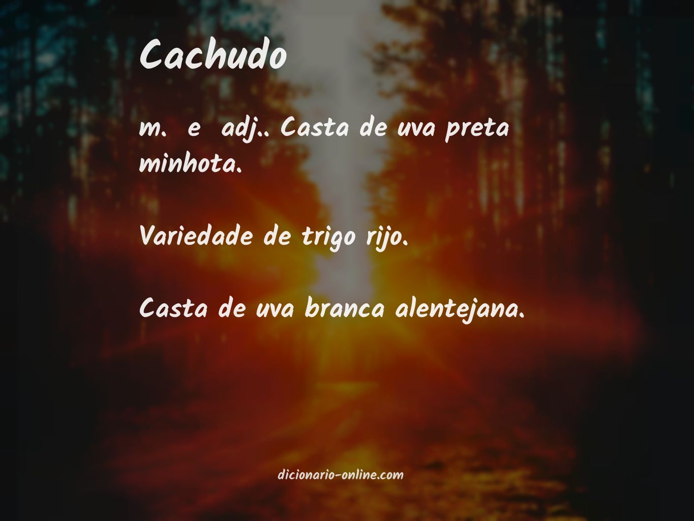 Significado de cachudo