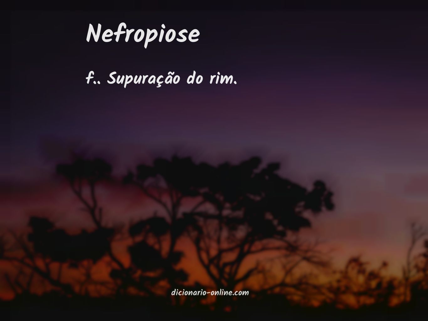 Significado de nefropiose