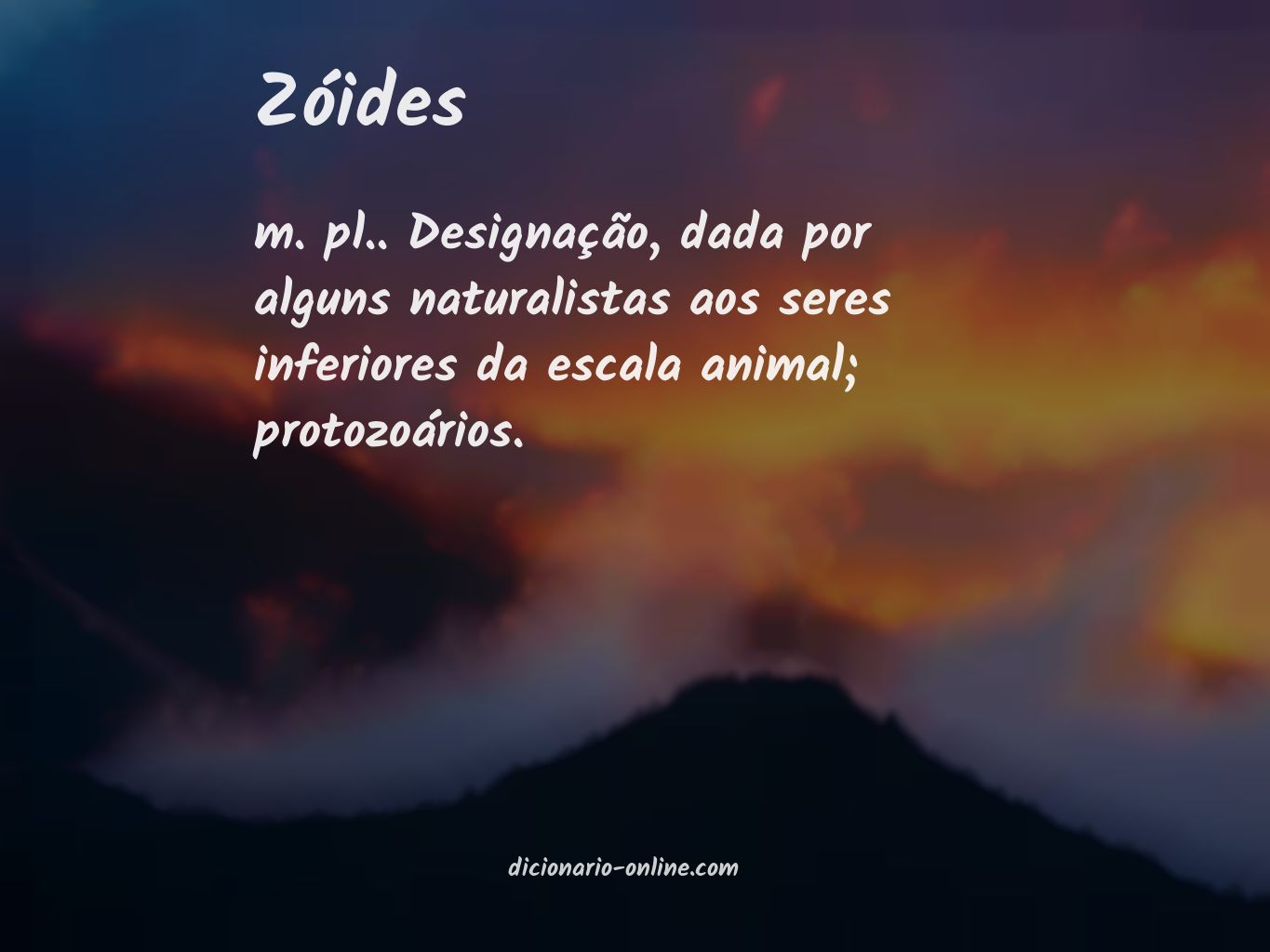 Significado de zóides