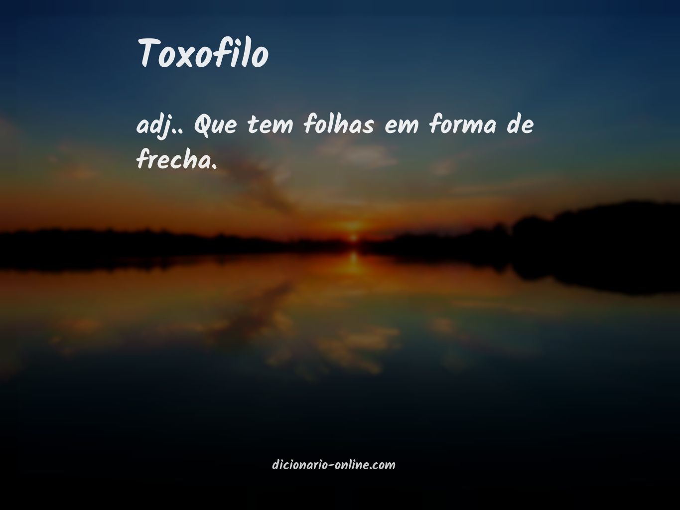 Significado de toxofilo