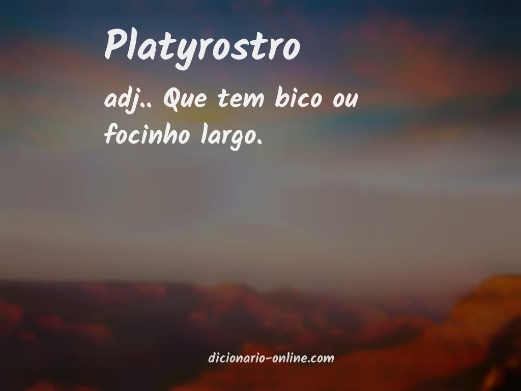 Significado de platyrostro