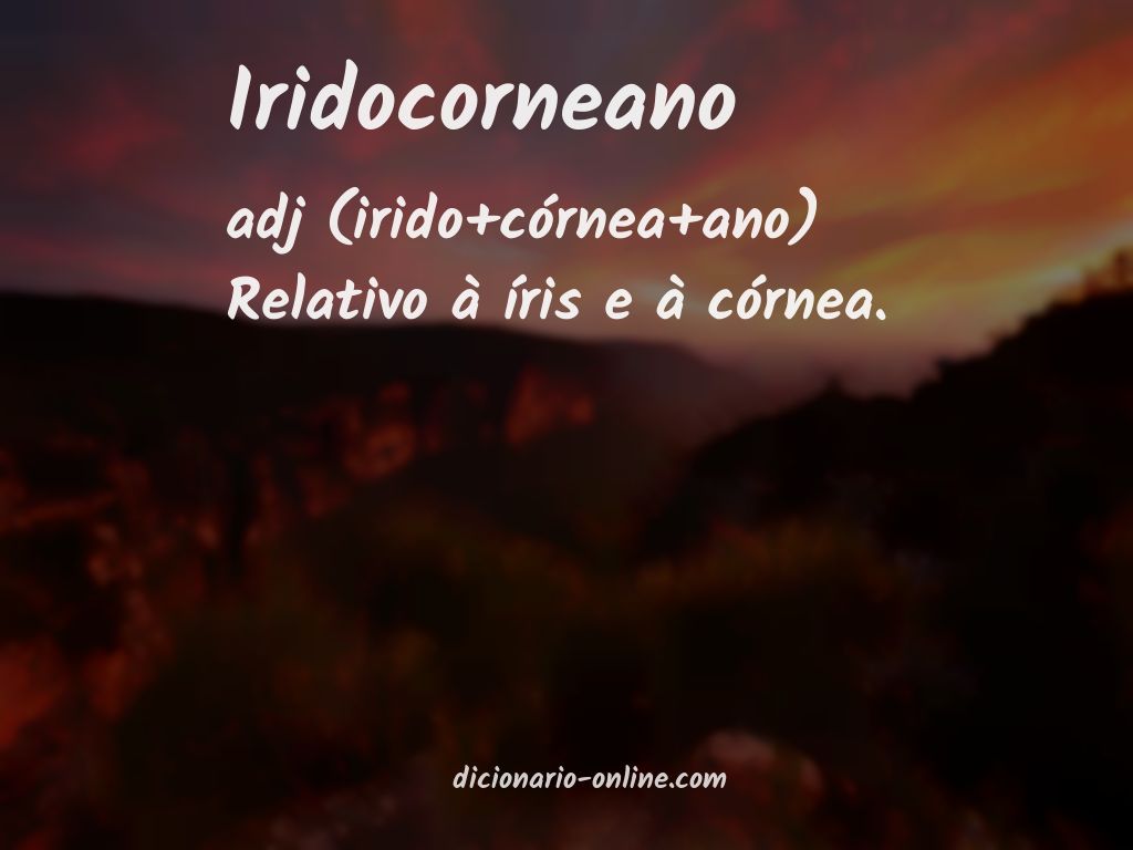 Significado de iridocorneano