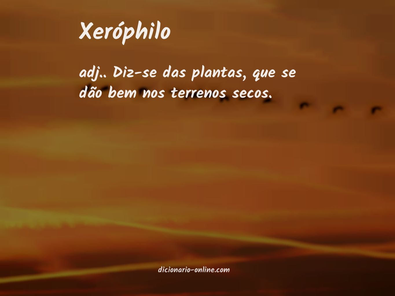 Significado de xeróphilo